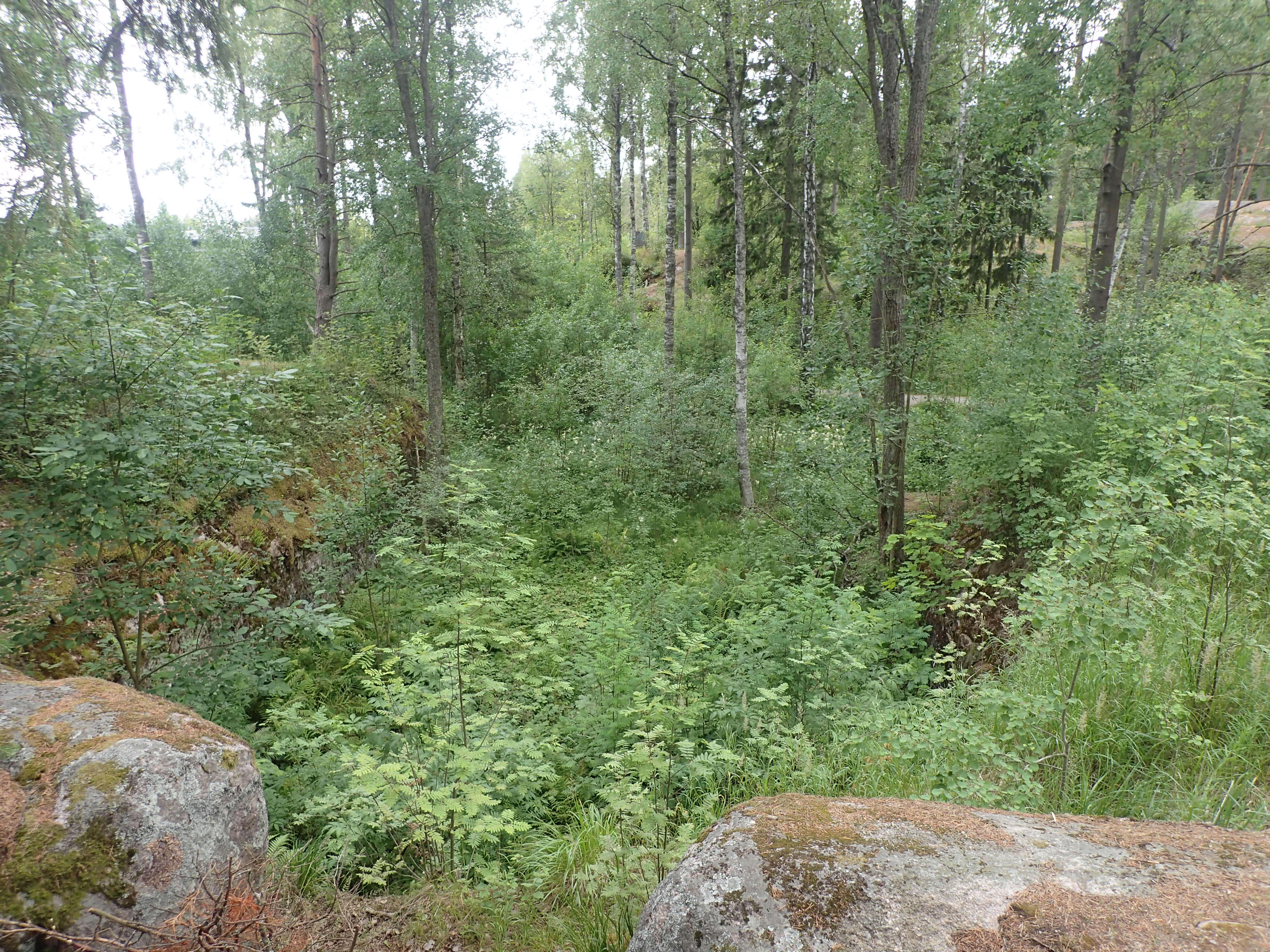 Kuva kohteesta v. 2024