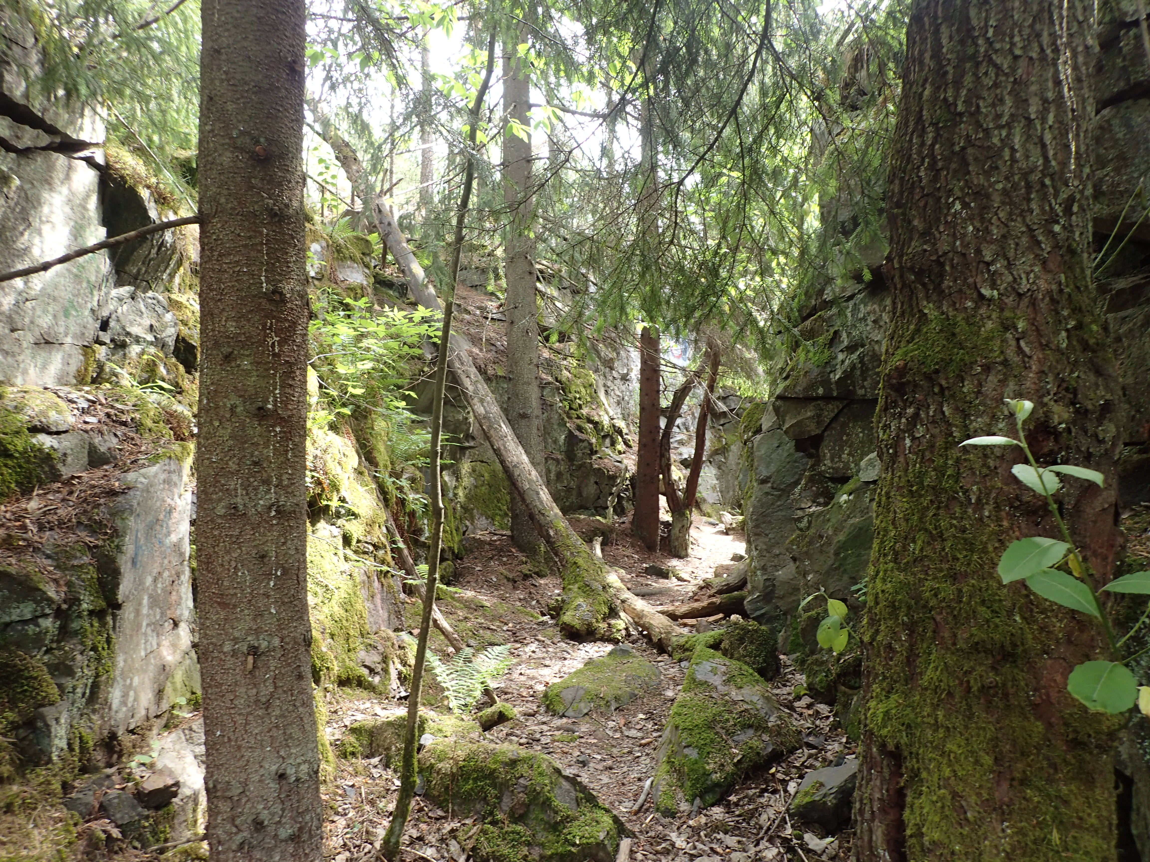 Kuva kohteesta v. 2024