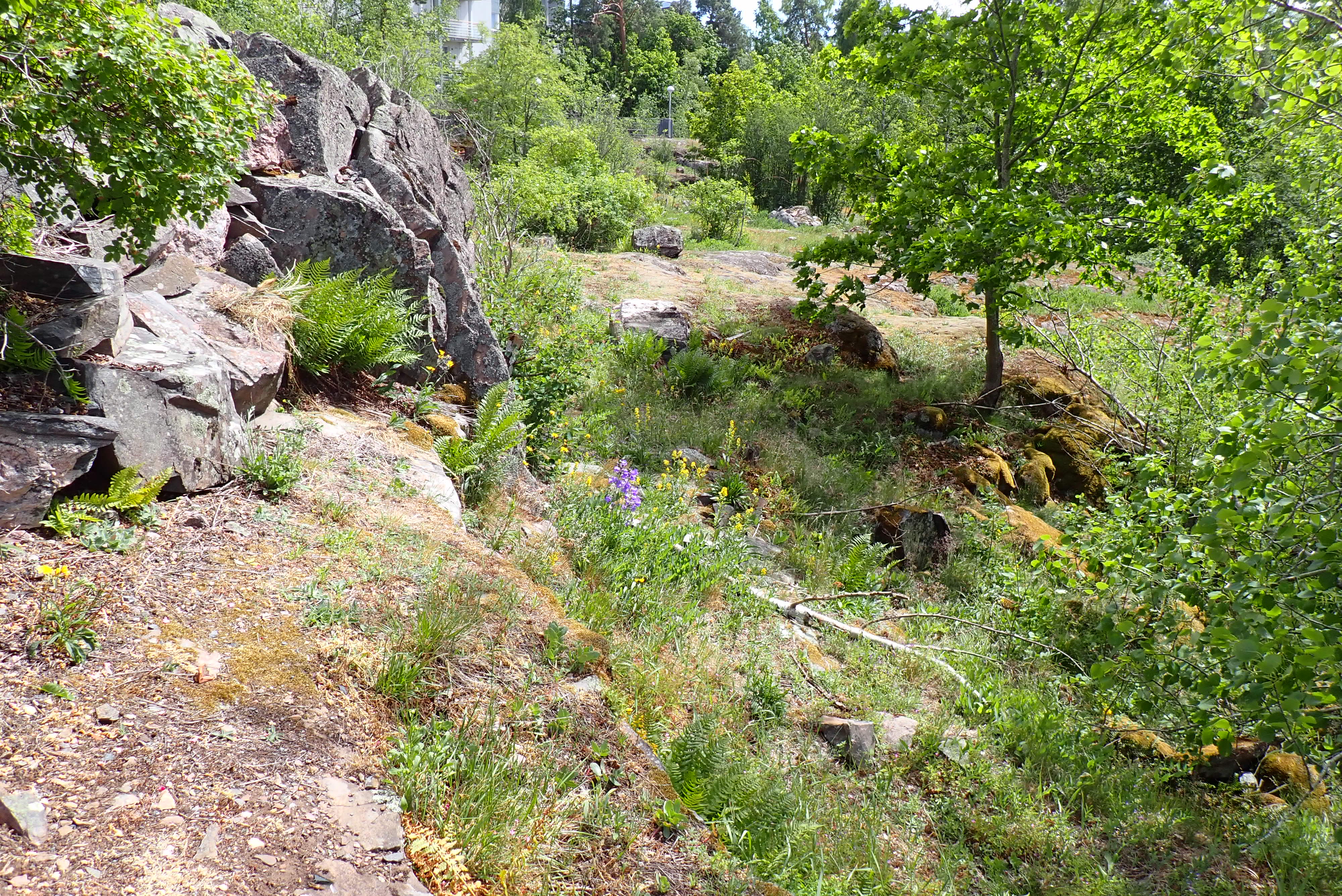 Kuva kohteesta v. 2024