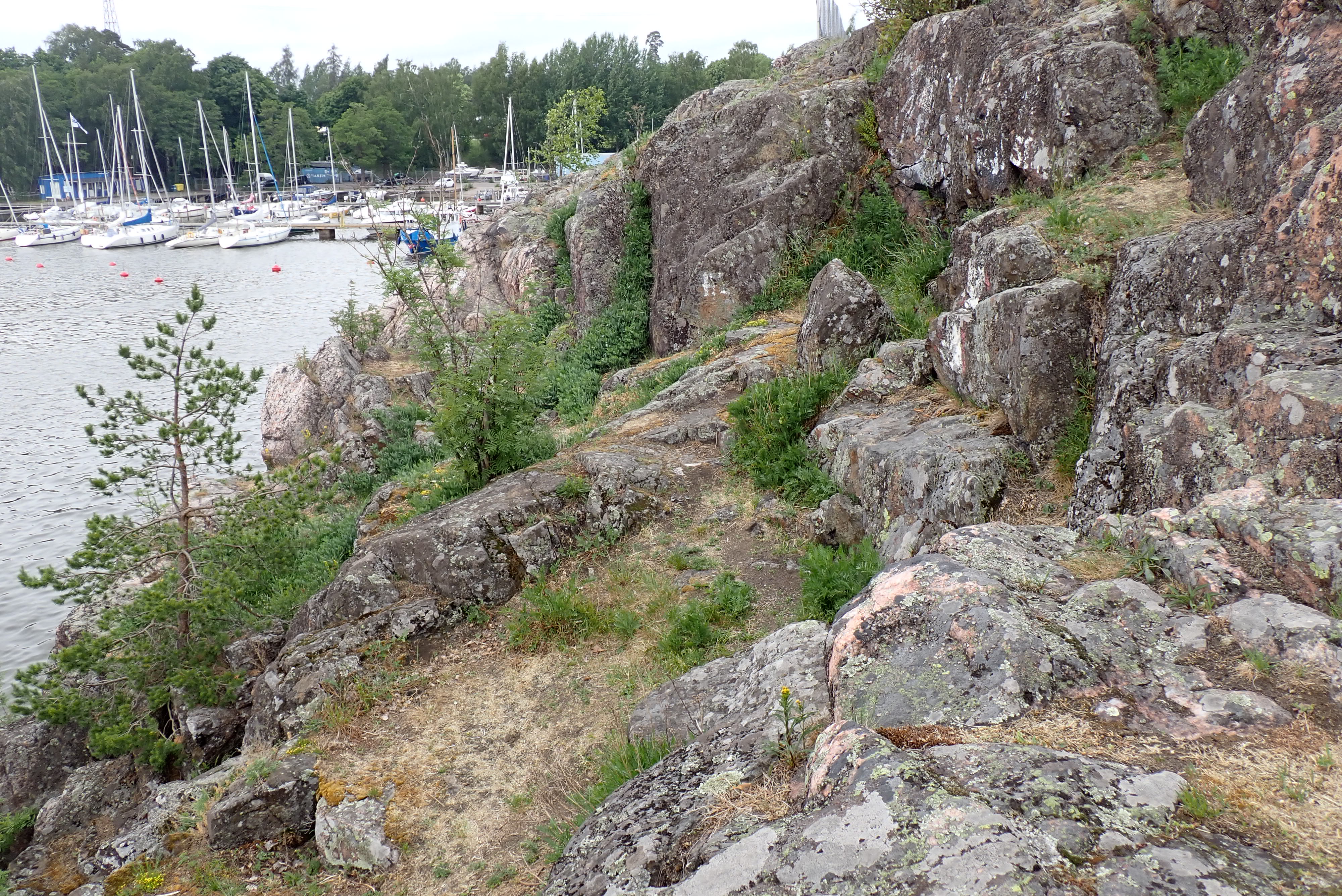 Kuva kohteesta v. 2024