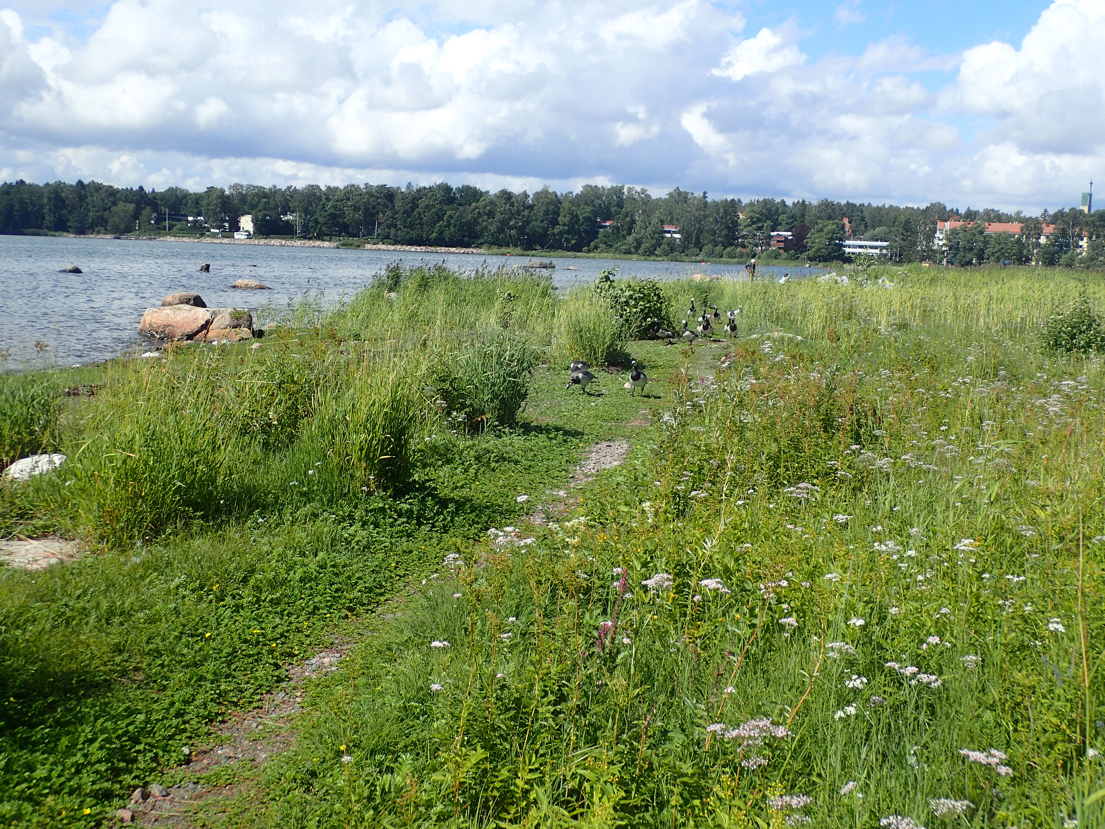 Kuva kohteesta v. 2024