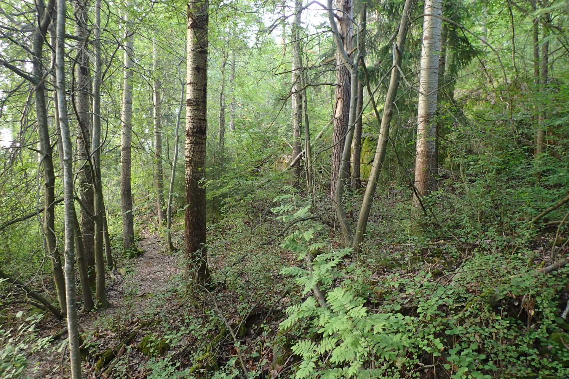 Kuva kohteesta v. 2024