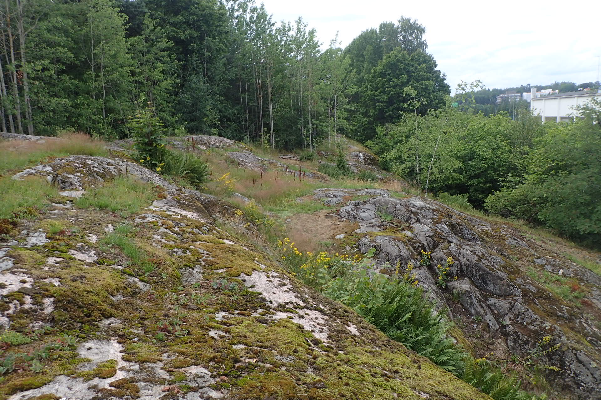 Kuva kohteesta v. 2024