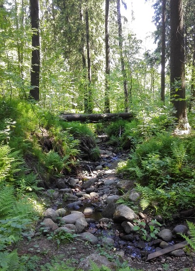 Jakomaen lehdot uoma