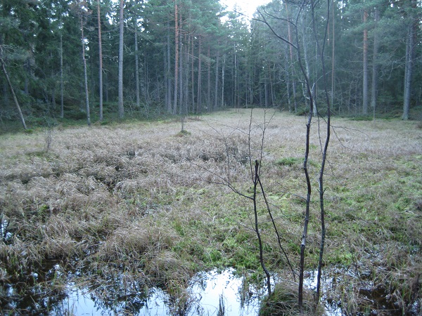 Länsi-Rastilan kallioneva