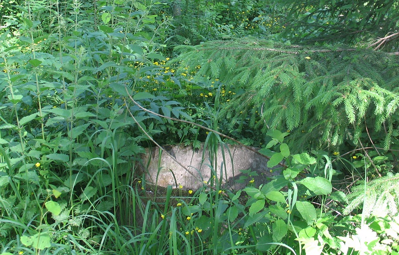 Lähteellä_kaivonrengas