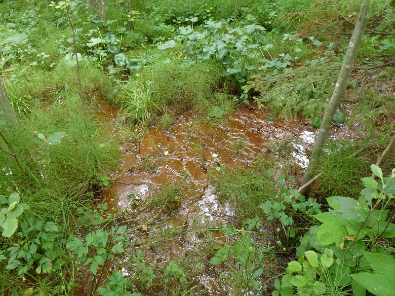 Vanha_vedenottopaikka