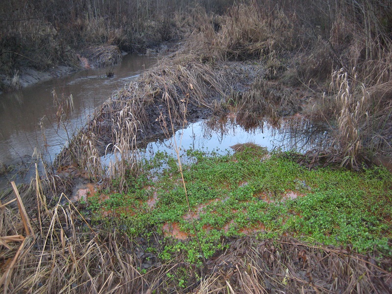 Krapuojan_tihkupinta